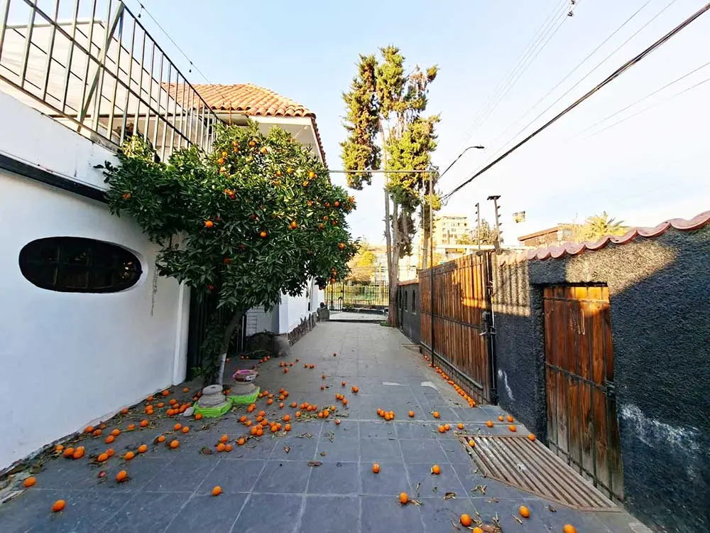 https://images.propercial.com/properties/82006/2451af41-ad3f-5a96-8b0b-1d875156e515.webp
