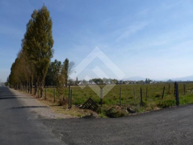 https://images.propercial.com/properties/FNZA/fe6e4db6-6e19-5d4a-9c22-8fb92ef81466.jpeg
